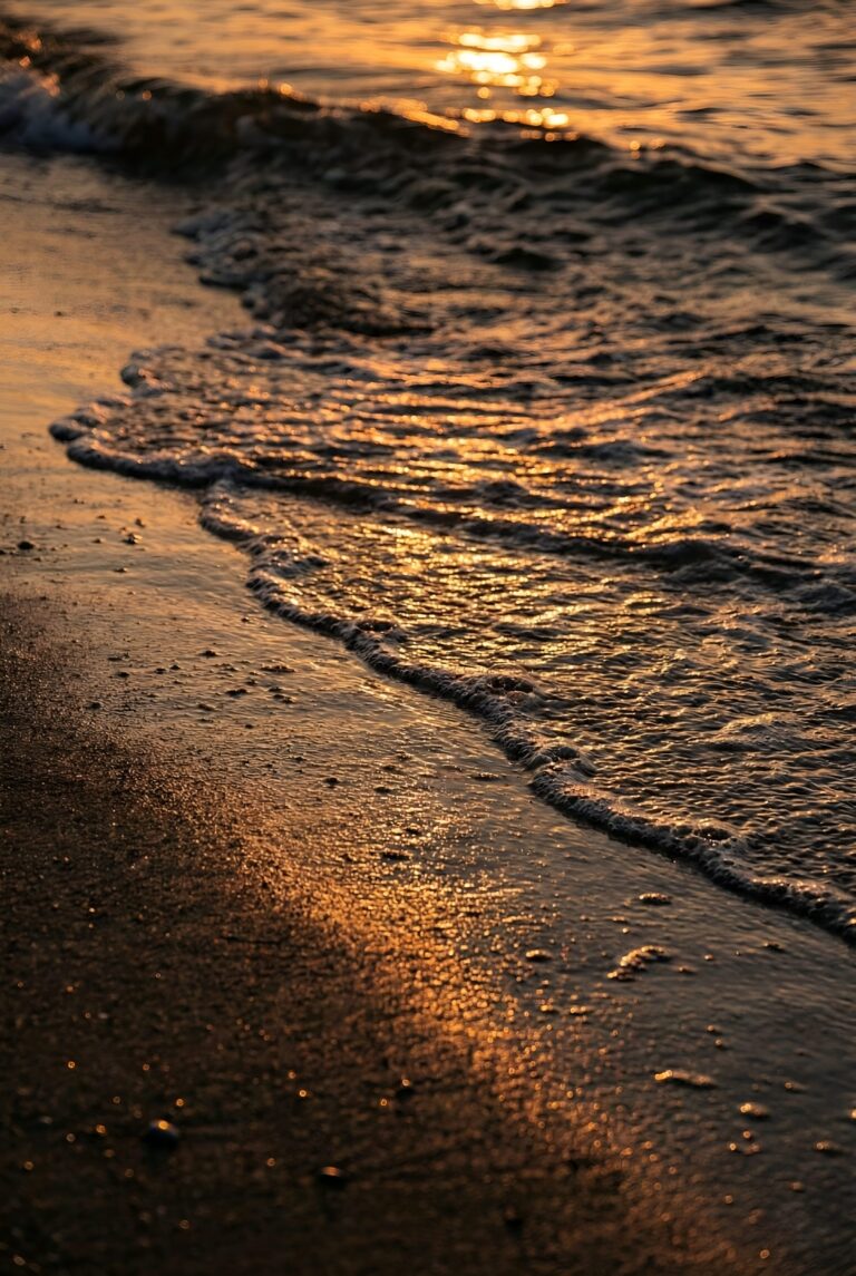 Close up of sea waves on a sandy beach during golden hour sunset aesthetic 4K ultra HD mobile wallpaper
