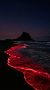 Vibrant red glowing bioluminescent waves crashing on a dark black sand beach at night with a mountain silhouette and starry sky in the background.