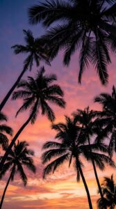 Vertical nature photography, low angle view of tall palm tree silhouettes against a vibrant pink, purple, and orange cloudy sunset sky, tropical summer aesthetic, California vibe, 4K wallpaper
