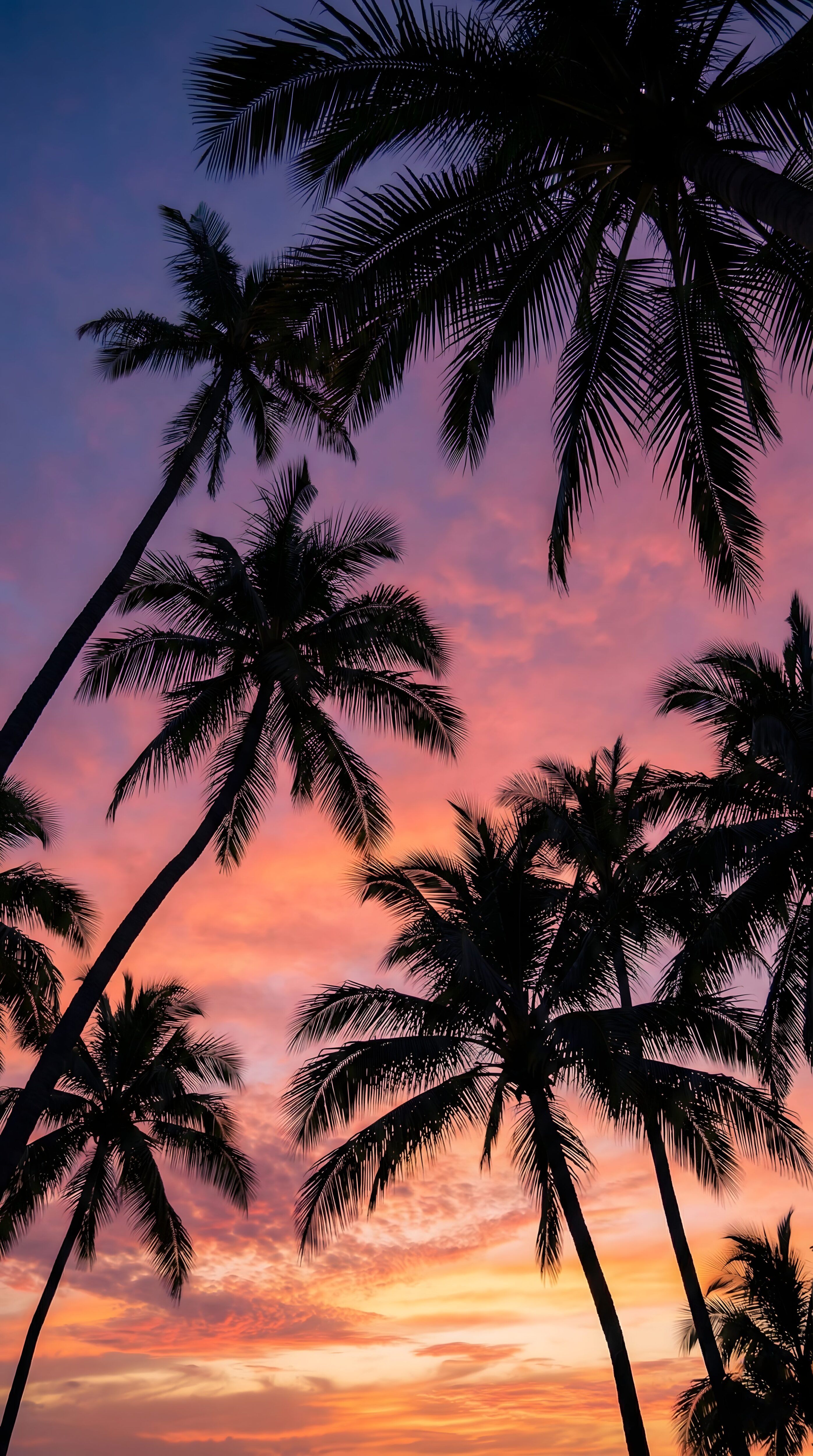 Palm Tree Sunset Wallpaper 4K: Pink & Purple Sky Aesthetic (Ai Art)