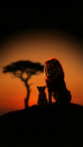 Vertical silhouette wallpaper of a majestic male lion sitting next to a small lion cub on a hill, glowing orange sunset background with a blurred acacia tree, The Lion King aesthetic, golden hour wildlife art in 4K