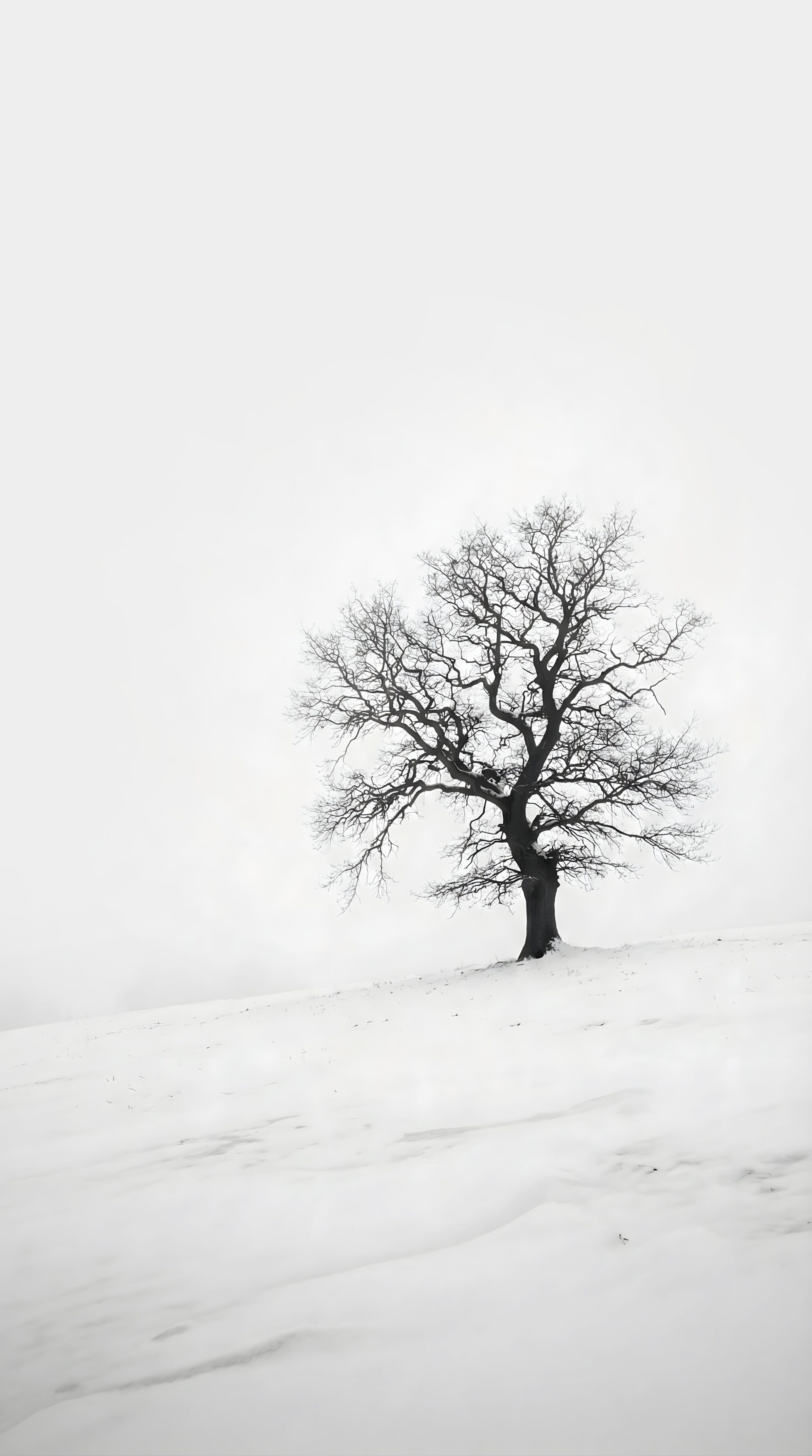 Solitary Winter Tree Wallpaper 4K: Minimalist White Snow Aesthetic (Ai Art)