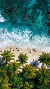 Download free 4K mobile wallpaper of a tropical beach from an aerial bird's-eye view featuring palm trees, white sand, and turquoise sea waves.