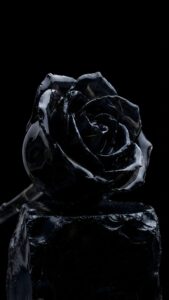 Black Obsidian Rose AMOLED Wallpaper 4K, luxury digital art of a hyper-realistic glossy black crystal rose carved from volcanic glass resting on a rough stone, pitch-black background.