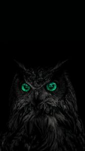 Highly detailed digital art of a stealthy black owl with glowing emerald green eyes emerging from a pitch black background aesthetic 4K ultra HD mobile wallpaper