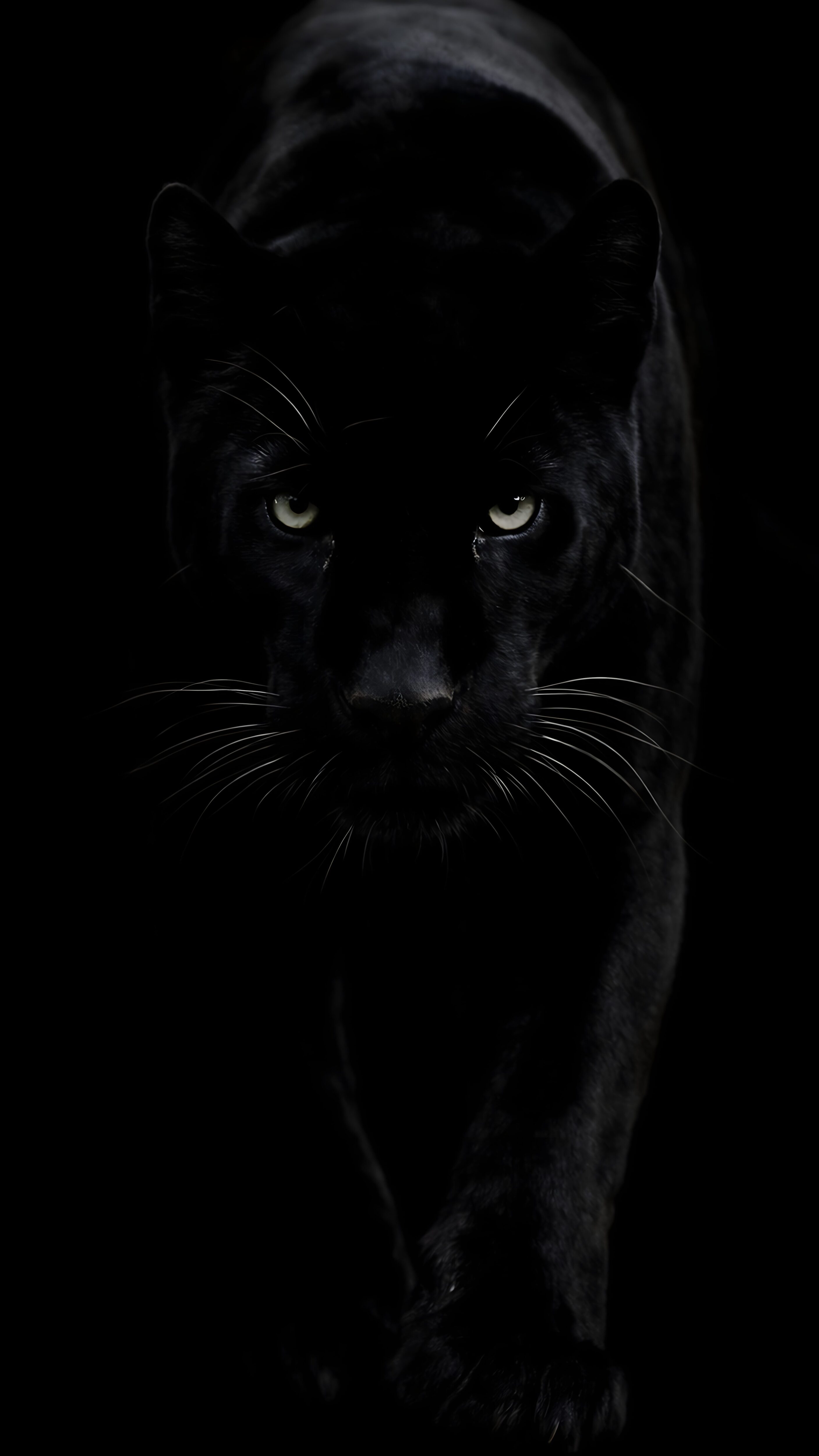 Download free 4K wallpaper of a black panther face with intense glowing eyes emerging from a solid black background, optimized for AMOLED mobile screens