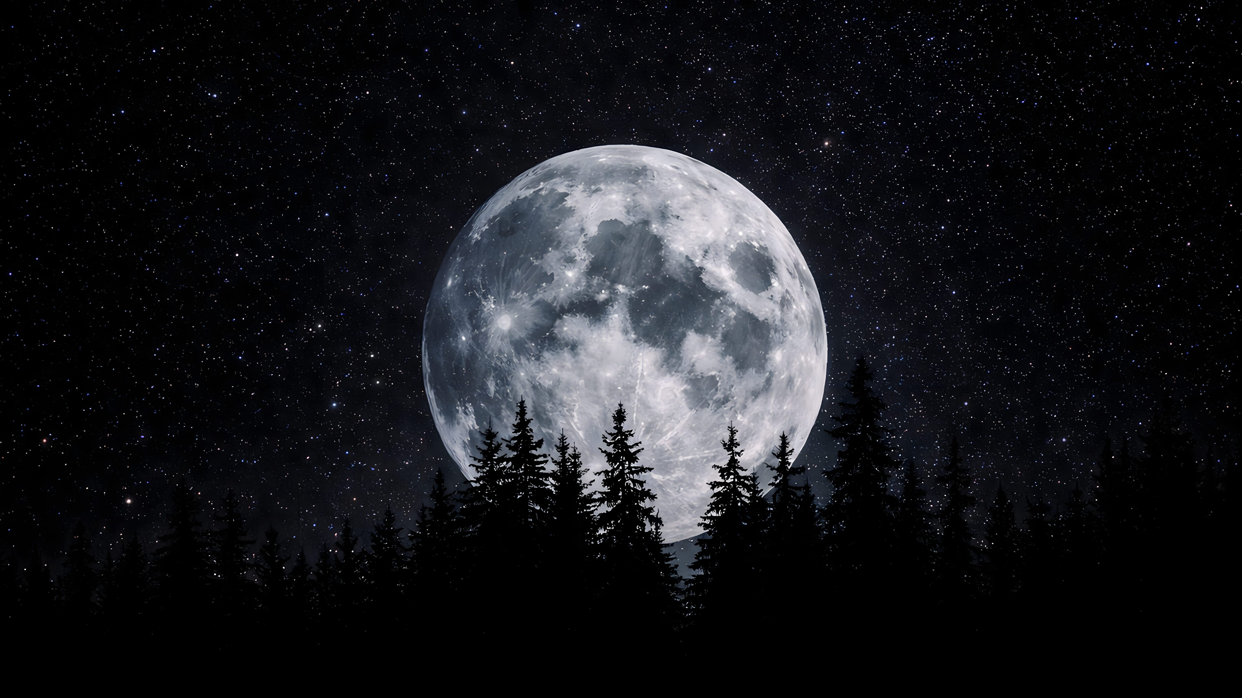 Highly detailed 4K desktop wallpaper featuring a massive full moon rising directly behind a dark pine forest silhouette under a clear starry night sky.