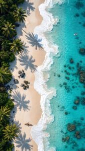 Highly detailed 4K wallpaper featuring a top-down aerial view of a tropical beach with crystal clear turquoise water, bright white sand, and long shadows from green palm trees.