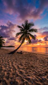 Highly detailed digital photography of a beautiful tropical beach sunset featuring a leaning palm tree colorful purple and orange cloudy sky calm ocean waves and a sandy beach with sea shells aesthetic 4K ultra HD mobile wallpaper
