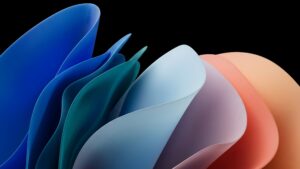A high-resolution 4K desktop wallpaper featuring smooth, colorful 3D fluid ribbon shapes in blue, purple, and orange against a solid pitch-black background.