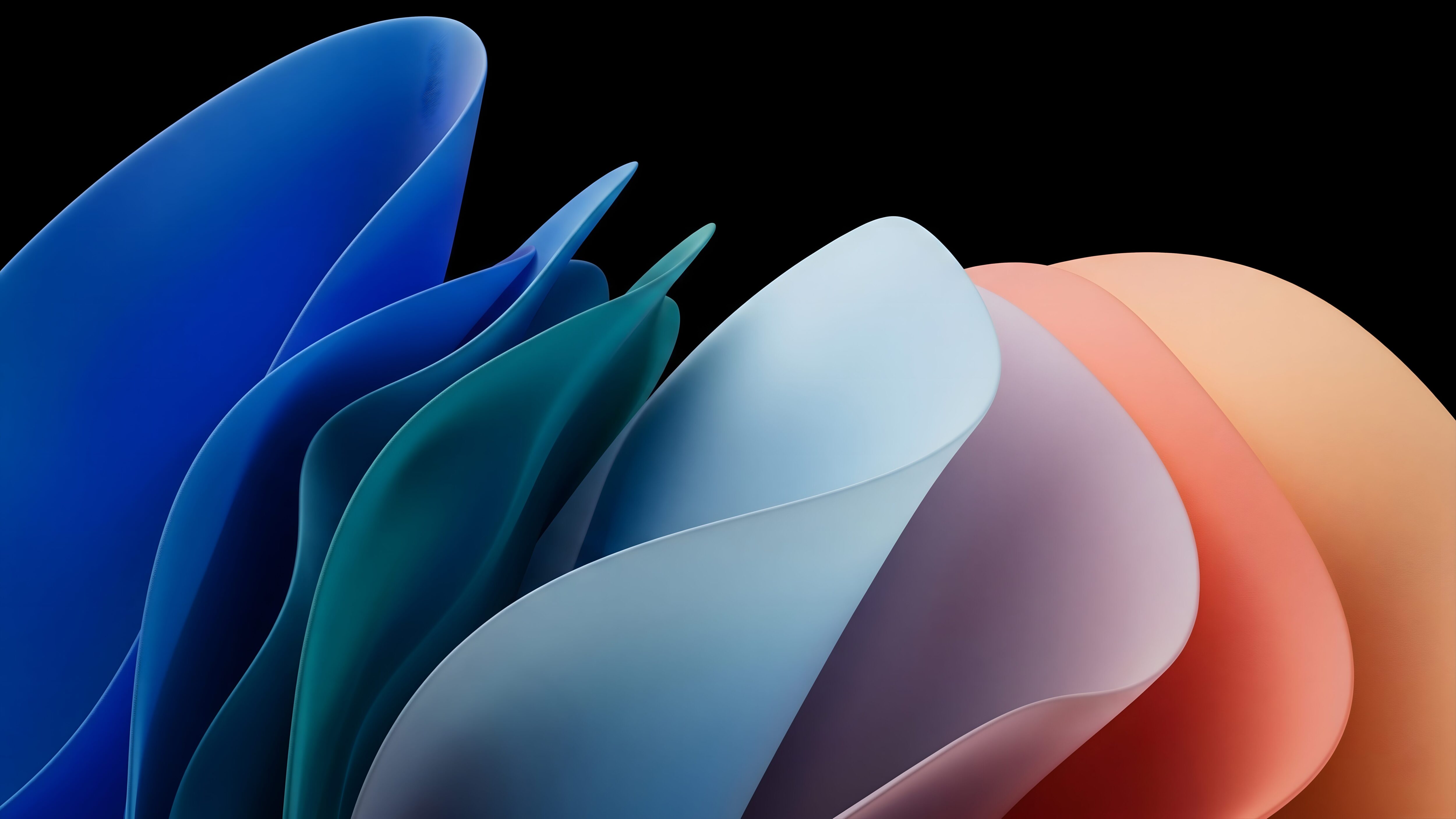 A high-resolution 4K desktop wallpaper featuring smooth, colorful 3D fluid ribbon shapes in blue, purple, and orange against a solid pitch-black background.