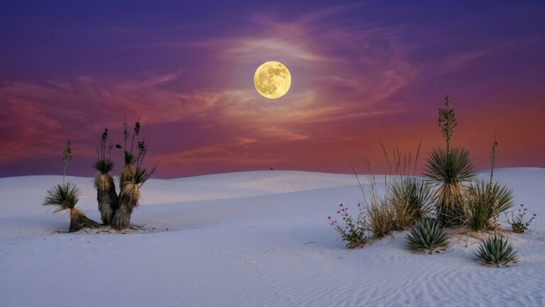 A high-resolution 4K desktop wallpaper featuring white sand dunes, desert yucca plants, and a large full moon under a vibrant purple and orange sunset sky.