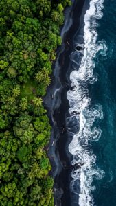 Aerial Black Sand Beach & Forest – High-Resolution 4K Background