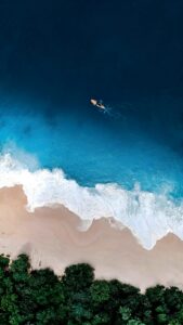A high-resolution 4K aerial mobile wallpaper of a surfer on a board in turquoise blue ocean waves alongside a sandy beach and green trees.