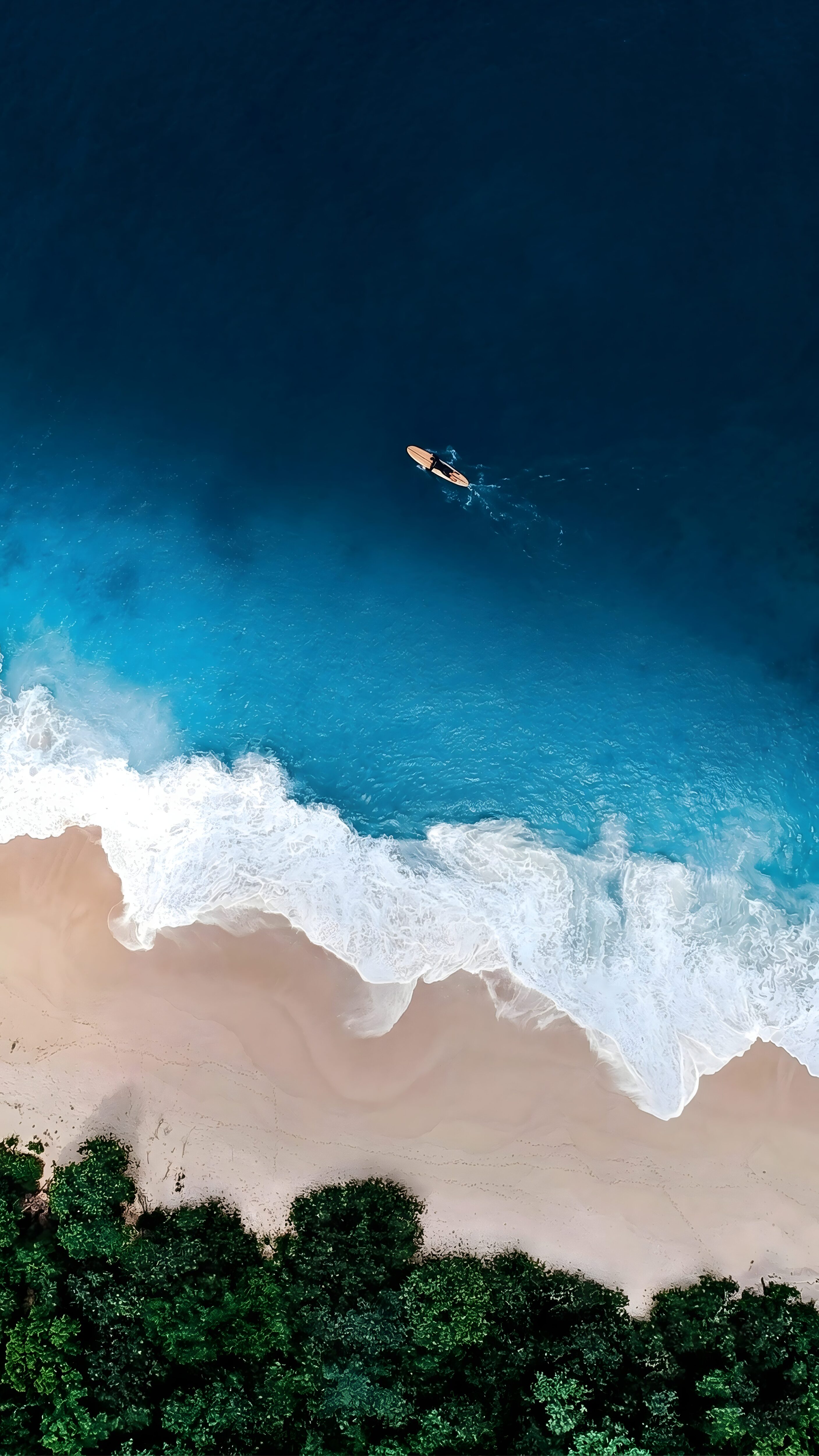 A high-resolution 4K aerial mobile wallpaper of a surfer on a board in turquoise blue ocean waves alongside a sandy beach and green trees.