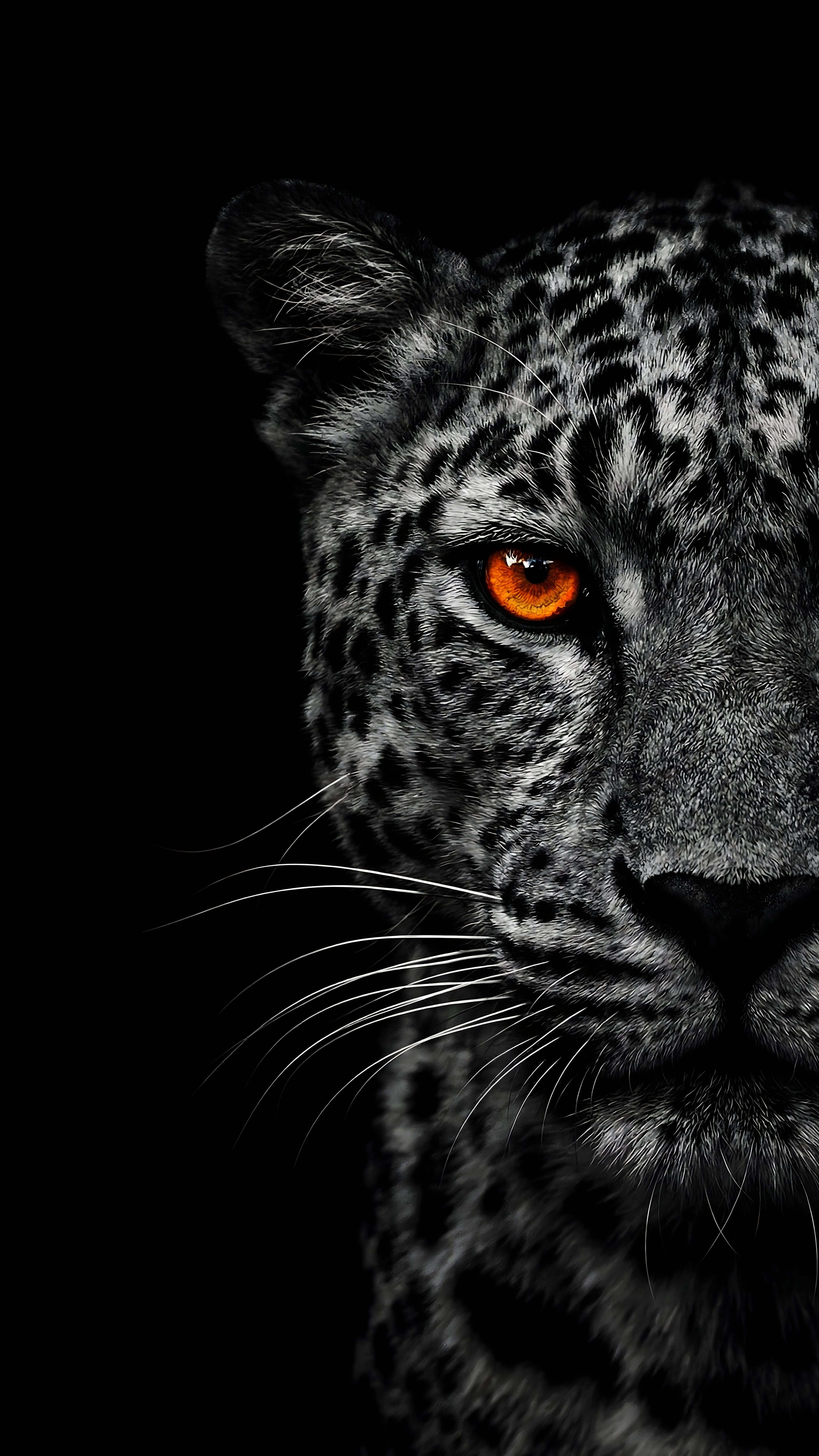 A high-resolution 4K black and white mobile wallpaper of a leopard's face with a single glowing orange eye against a solid black background.