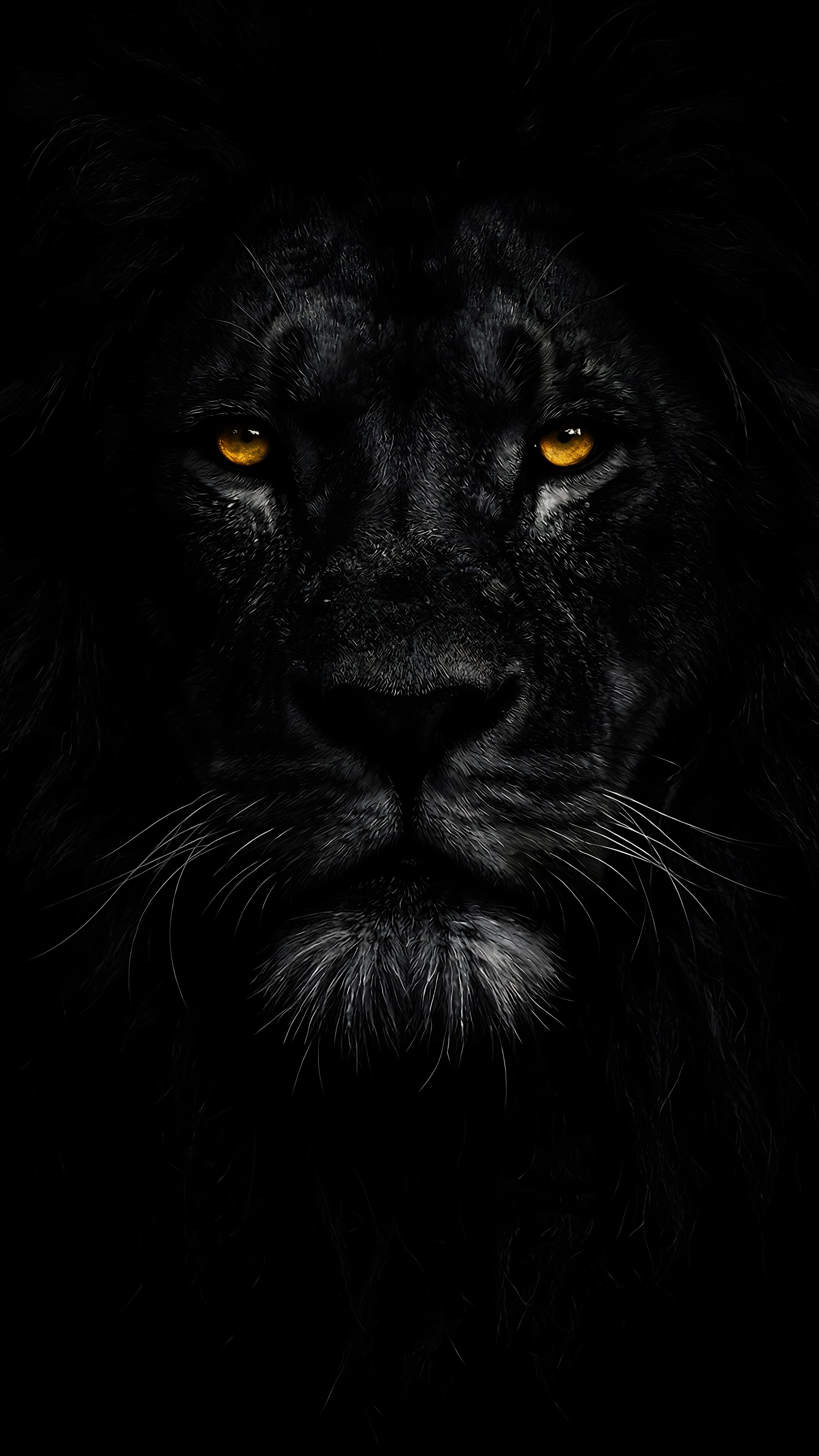 A high-resolution 4K mobile wallpaper of a majestic black lion's face with glowing golden eyes on a pure black background.