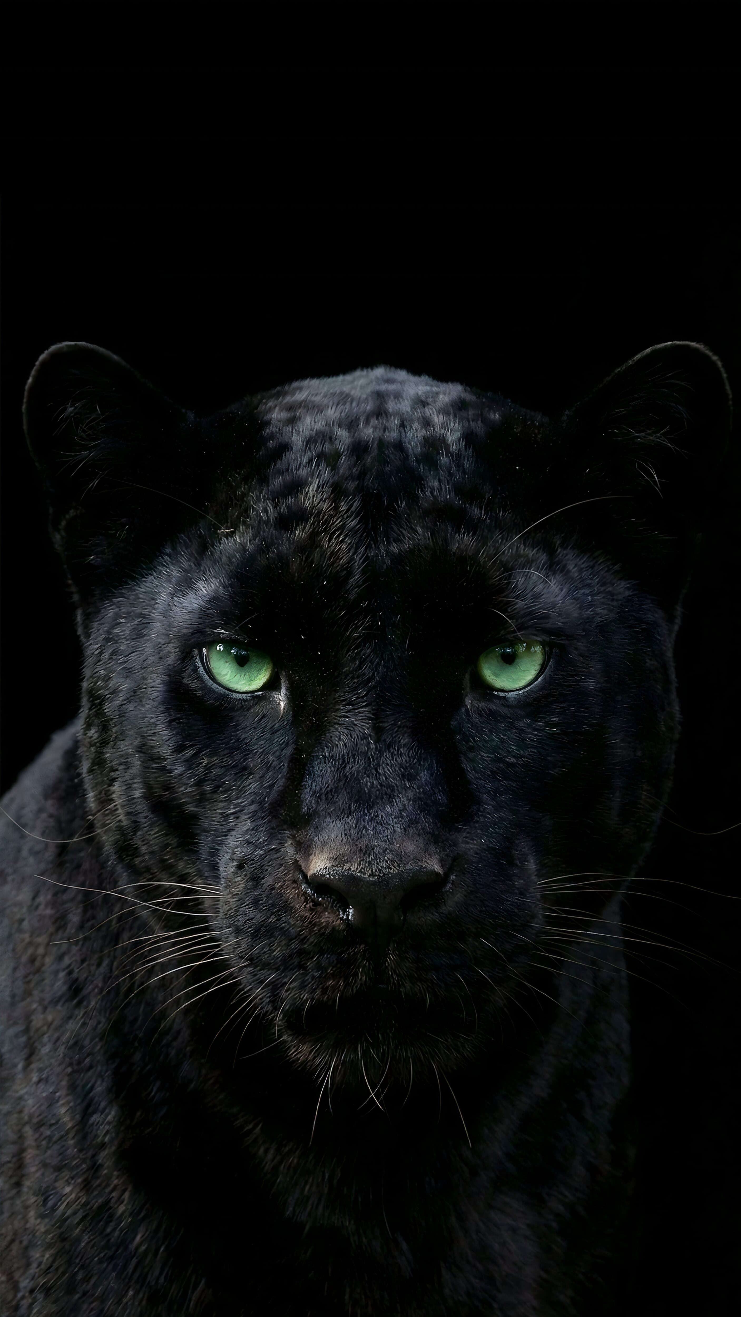 4K mobile wallpaper of a majestic black panther with piercing green eyes emerging from a pitch-black background, perfect for AMOLED screens.