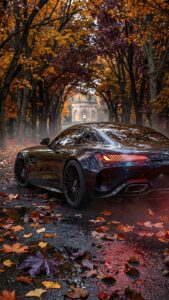 A high-resolution 4K mobile wallpaper featuring the rear of a dark Mercedes-Benz AMG GT on a wet, leaf-covered road surrounded by golden autumn trees.