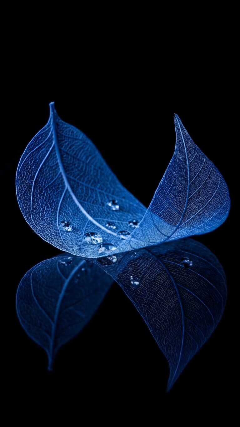 A high-contrast 4K AMOLED mobile wallpaper featuring transparent blue skeleton leaves and water droplets against a pure black background.