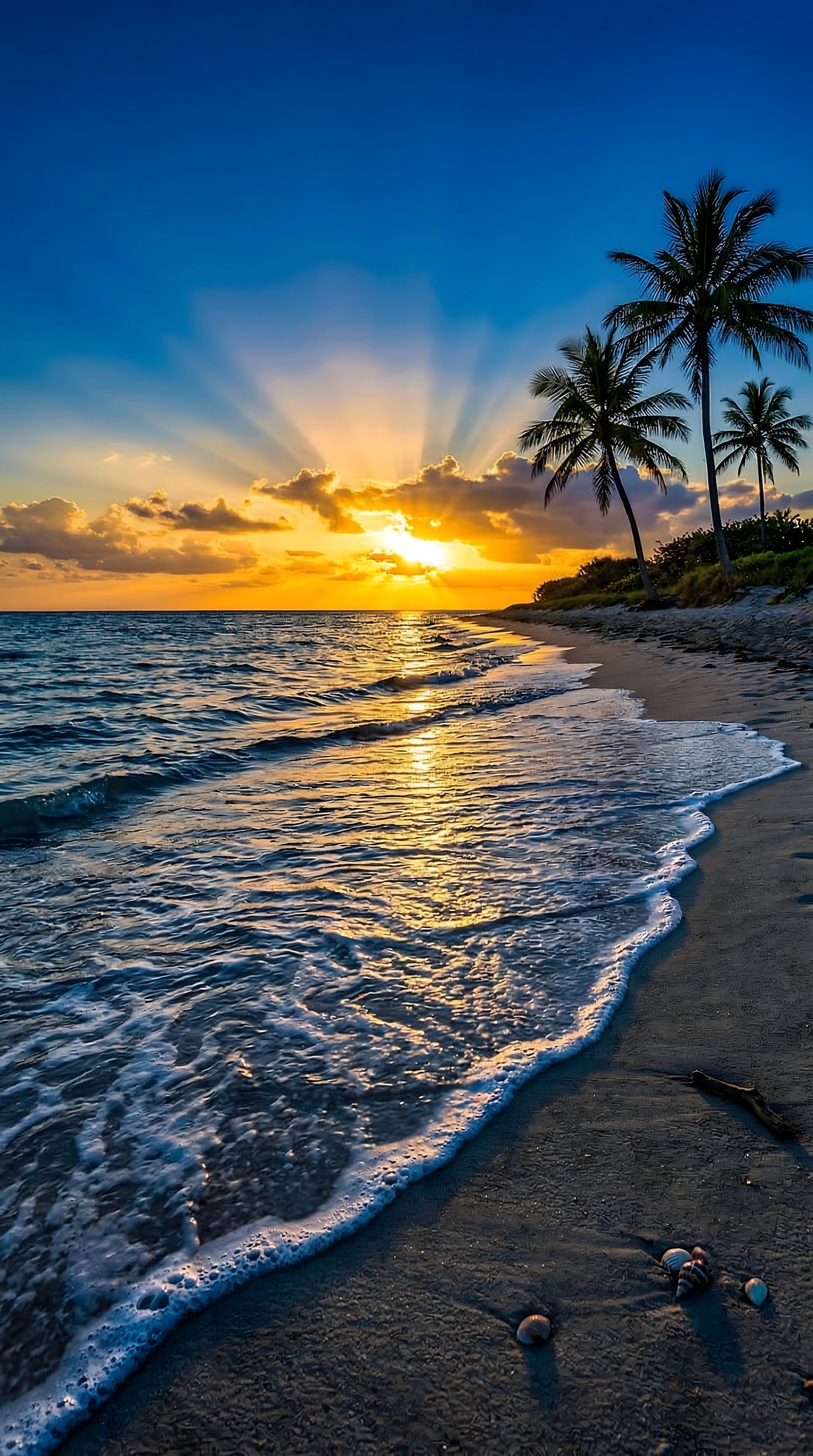 High-resolution 4K mobile wallpaper of a tropical beach sunset with palm trees, sea foam, and seashells on the shore.