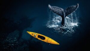 A cinematic 4K desktop wallpaper featuring a bright yellow kayak alongside a large whale tail emerging from dark blue ocean water.