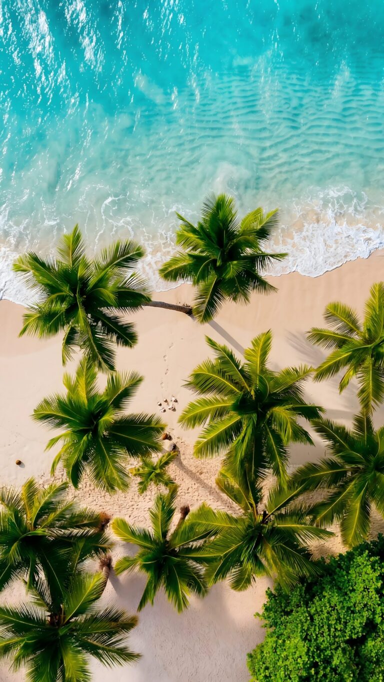 Aerial top-down view of a stunning tropical beach with green palm trees, bright white sand, and clear turquoise ocean water crashing on the shore.