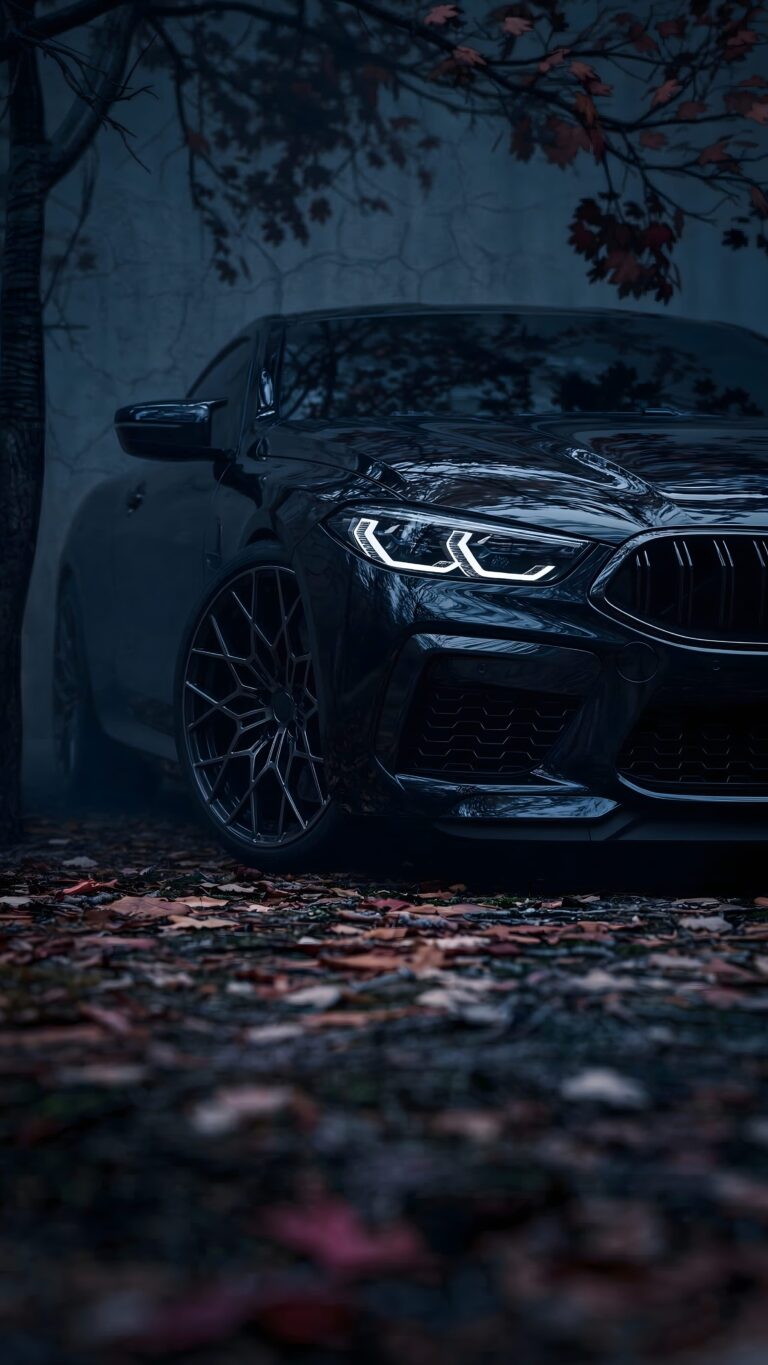 A sleek, dark sports car with bright LED headlights parked in a misty autumn forest with fallen leaves on the ground.