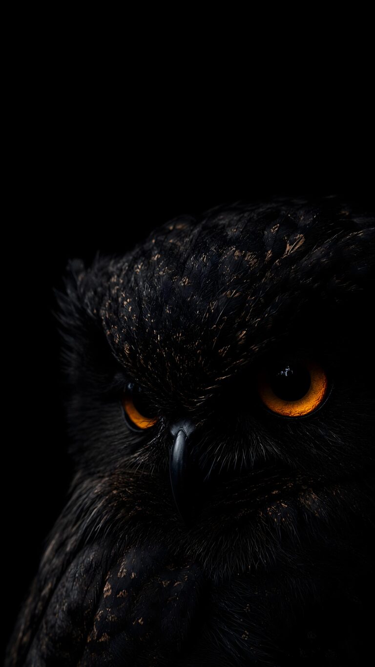 Close-up vertical portrait of a mysterious black owl with glowing orange eyes against a deep black background for smartphone screens.