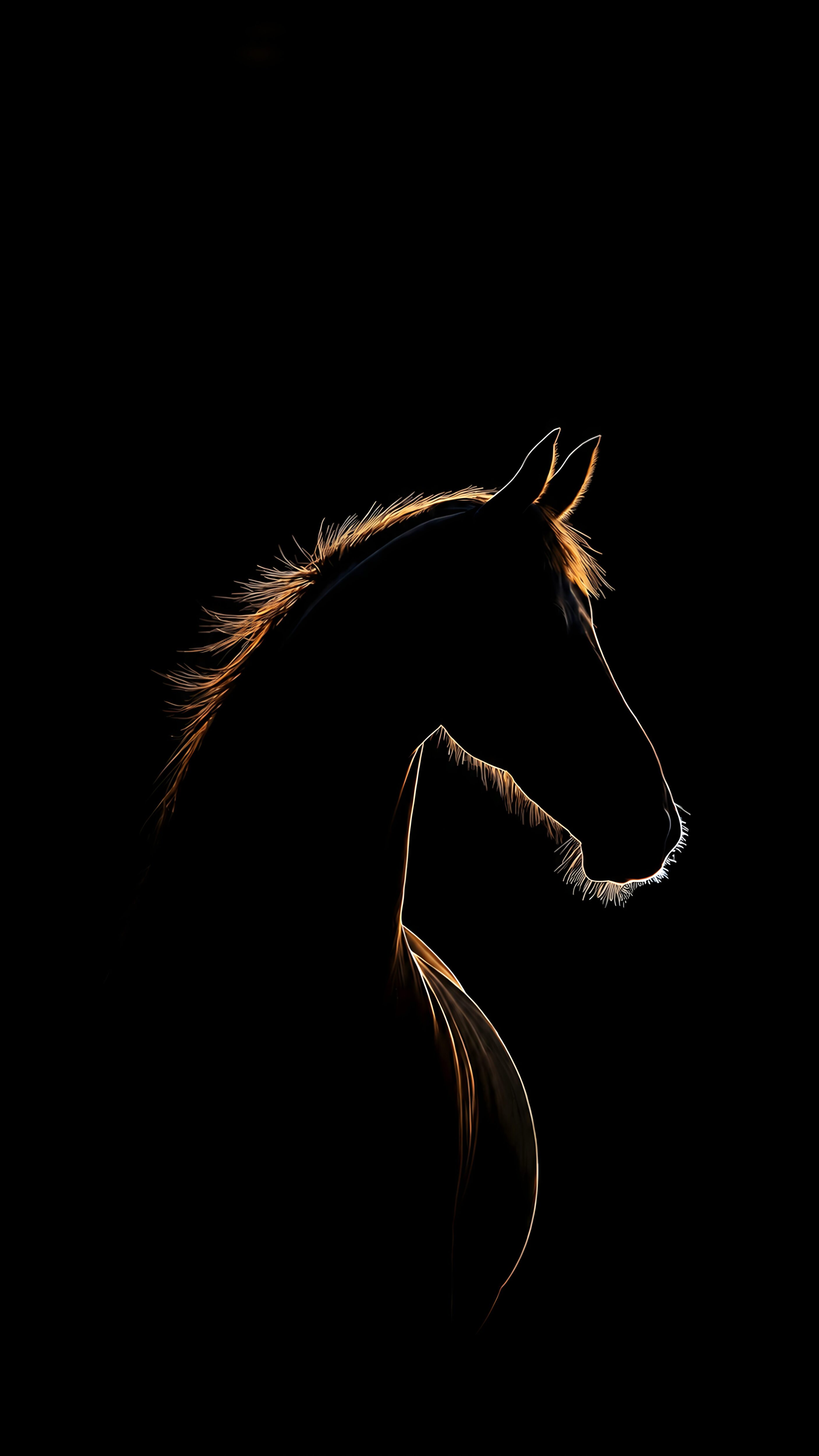 A vertical portrait of a horse in silhouette, outlined by a warm golden rim light against a completely black background.