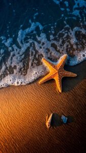 An orange starfish resting on golden wet sand next to gentle ocean foam, sea glass, and a shell, featured in this wallpaper