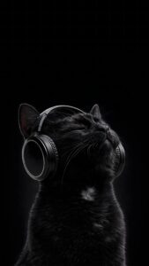 A sleek black cat wearing headphones and listening to music with its eyes closed against a deep black background.