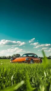 A classic orange Porsche parked in tall green grass under a bright blue sky with fluffy white clouds.