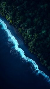 Aerial view of bright blue ocean waves crashing against a dark sand beach next to a dense, dark green forest.