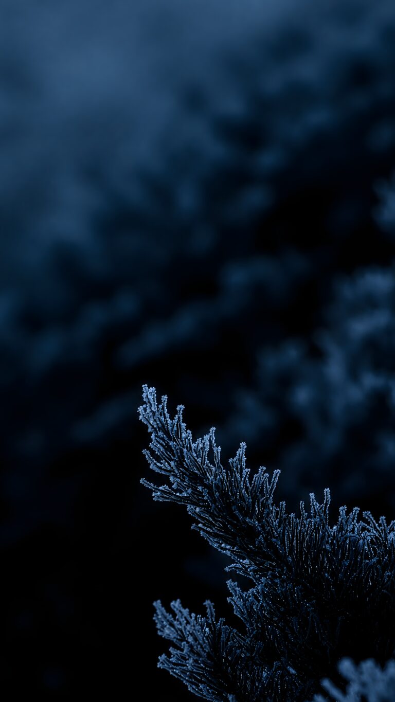Close-up of frosted pine needles in deep blue tones against a dark, blurred background