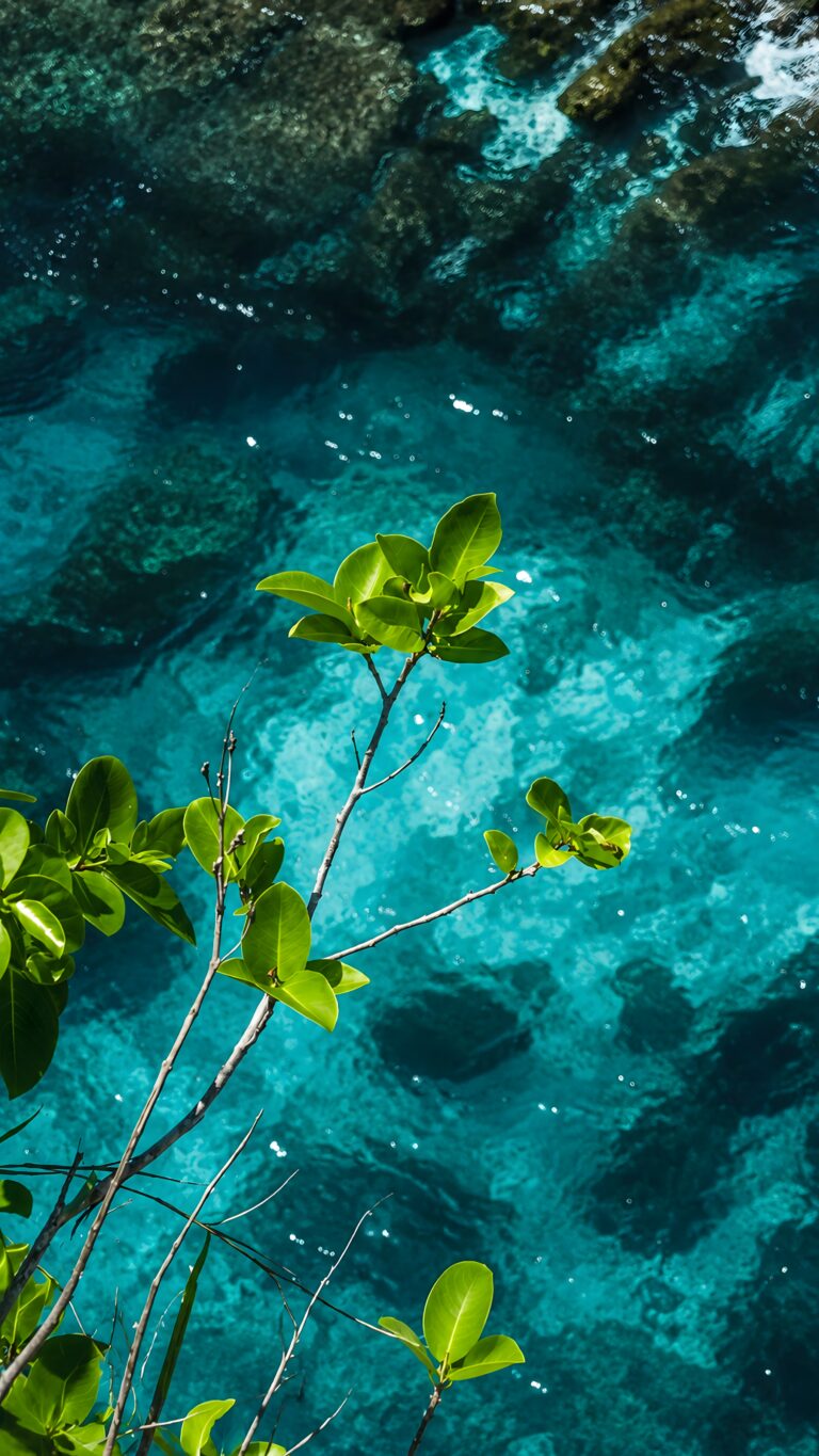 Bright green plant leaves extending over crystal clear turquoise and teal ocean water with submerged rocks.